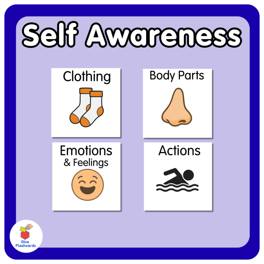 11 about self awren cat