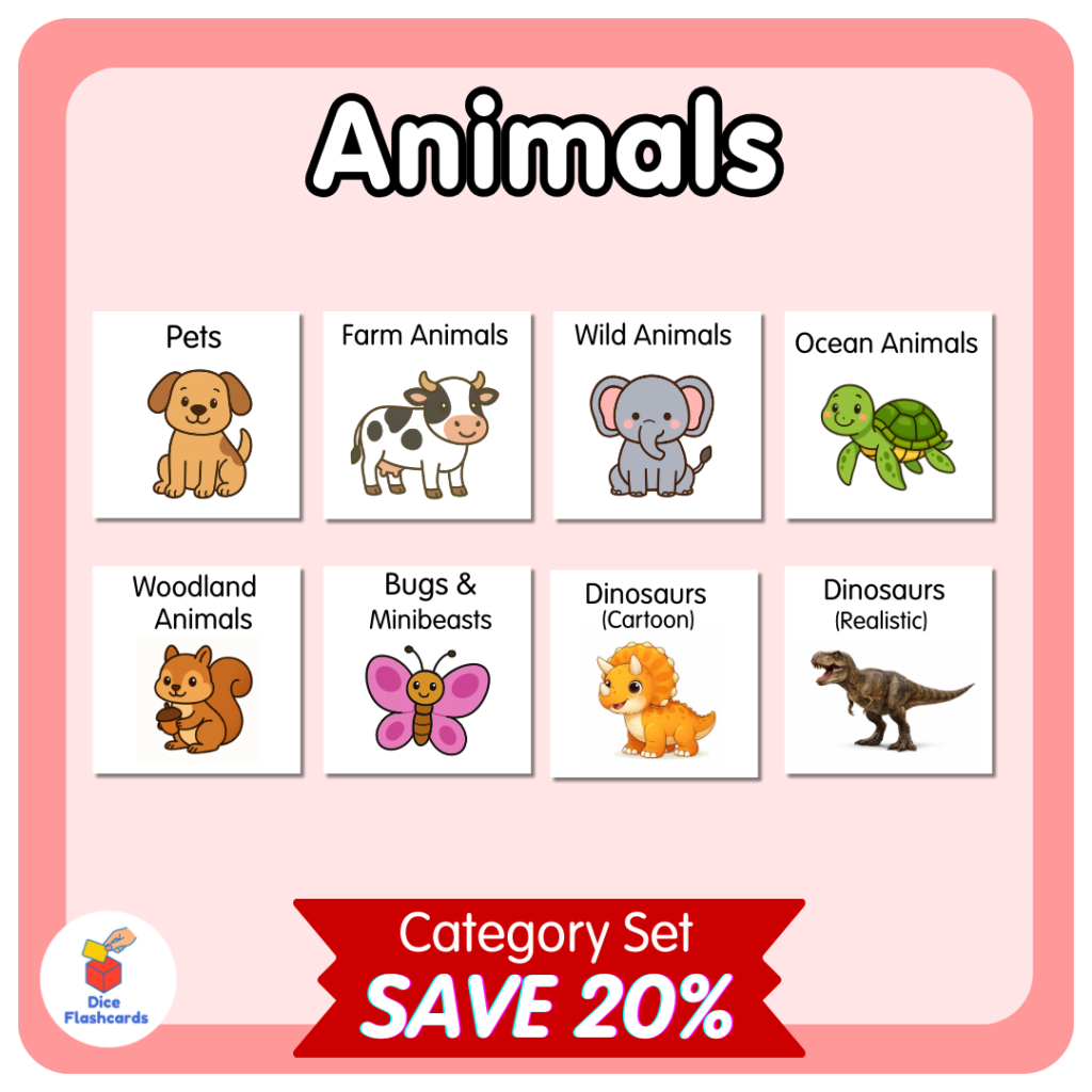 13 animals set