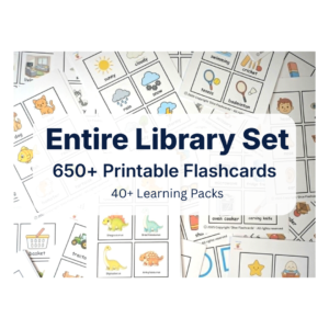 'ENTIRE LIBRARY' (650x Flashcards)