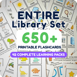 'ENTIRE LIBRARY' (650+ Flashcards)