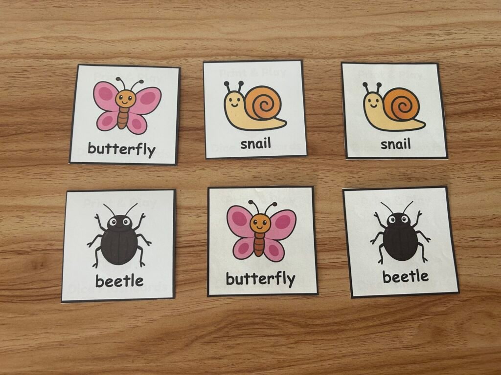 3 Pairs of picture flashcards randomly arranged ready for a memory matching game