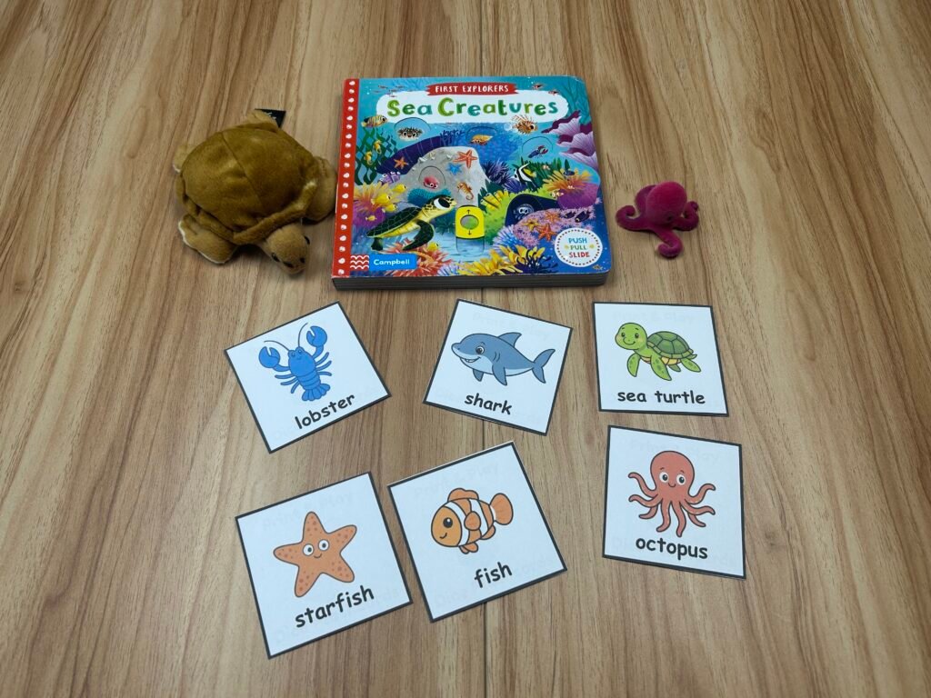 Sea creature flashcards used with a children's book and matching toys
